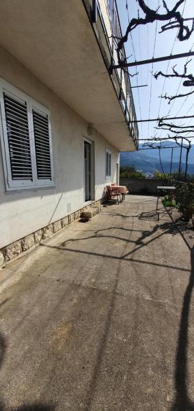 Apartment Mara